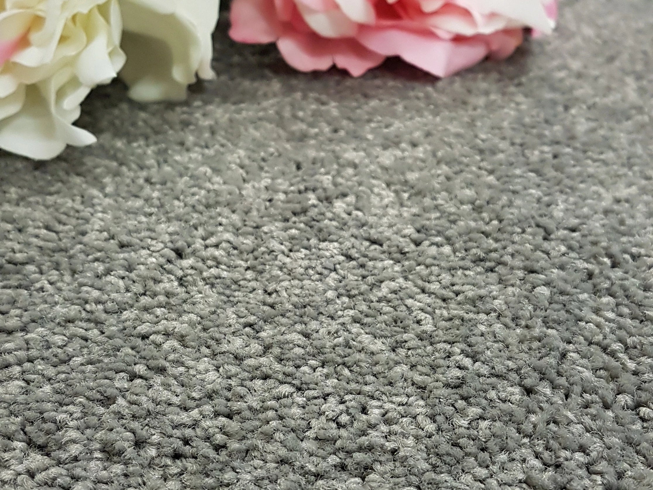 Carpet Cleaning