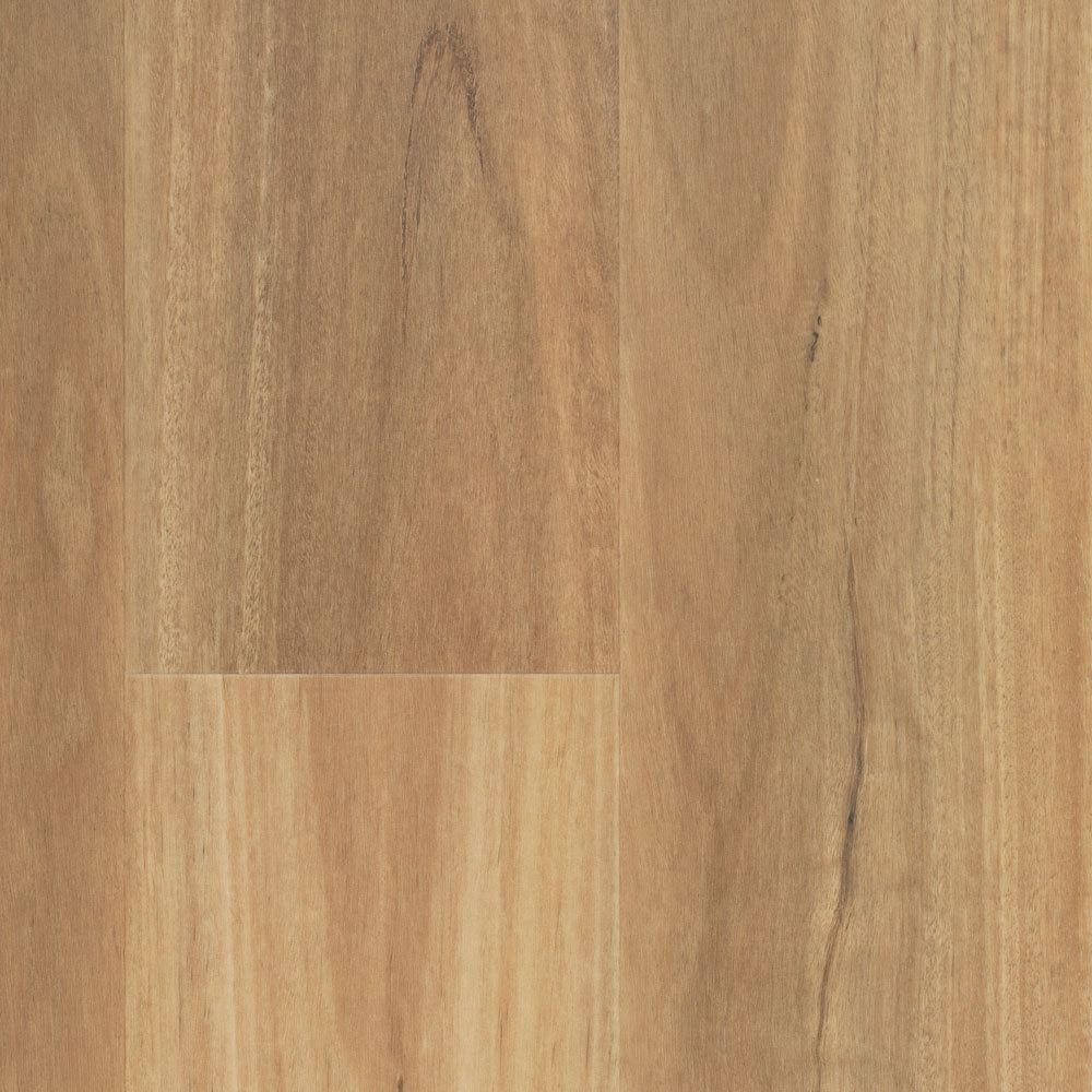 Australian Select Timbers - Nouvelle